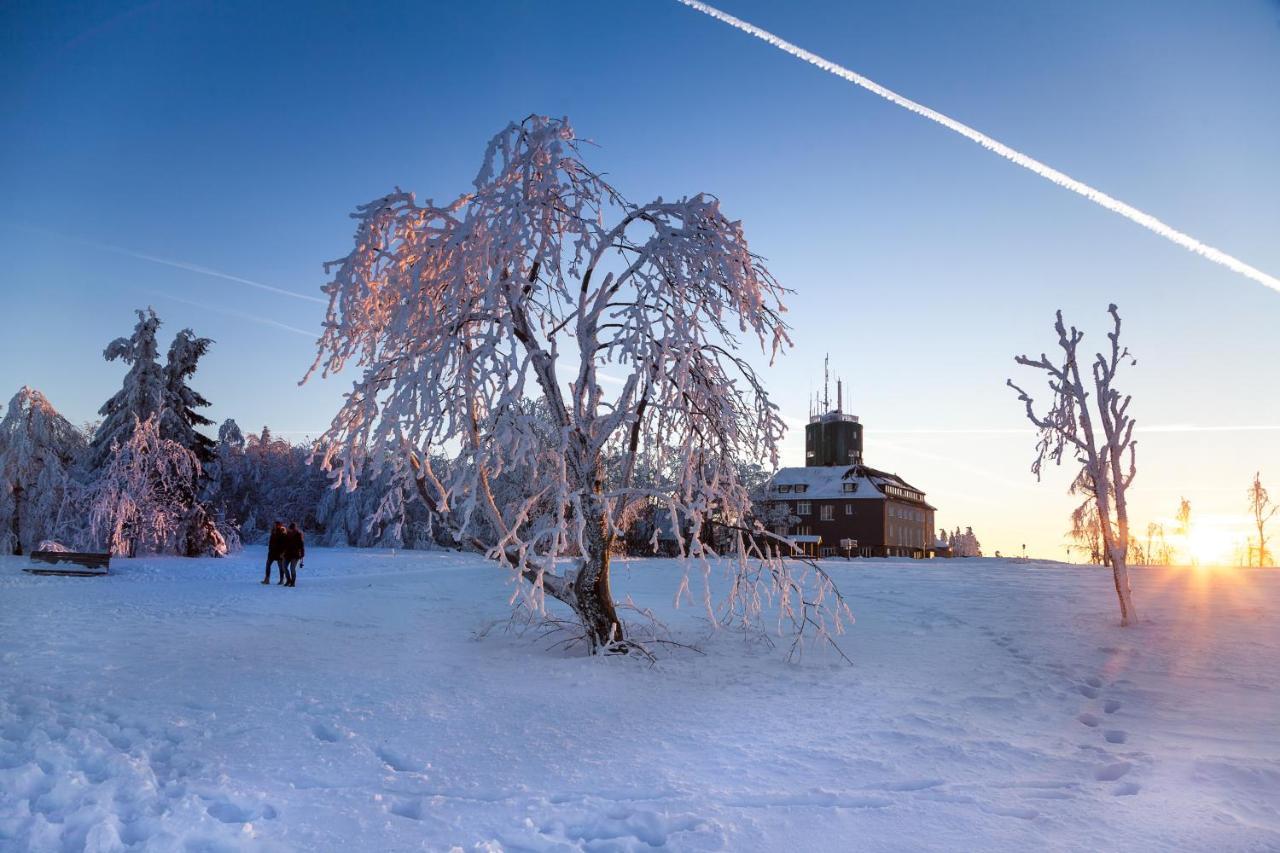 The Suite Winterberg Deluxe - Exklusive Ausstattung, Bestlage Zwischen Skikarussell Und Marktplatz, Eigener Garten, Ski- Und Fahrradraum, Ruhige Suedausrichtung, Wlan, Hundefreundlich エクステリア 写真